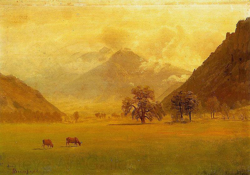 Albert Bierstadt Rhone Valley Norge oil painting art
